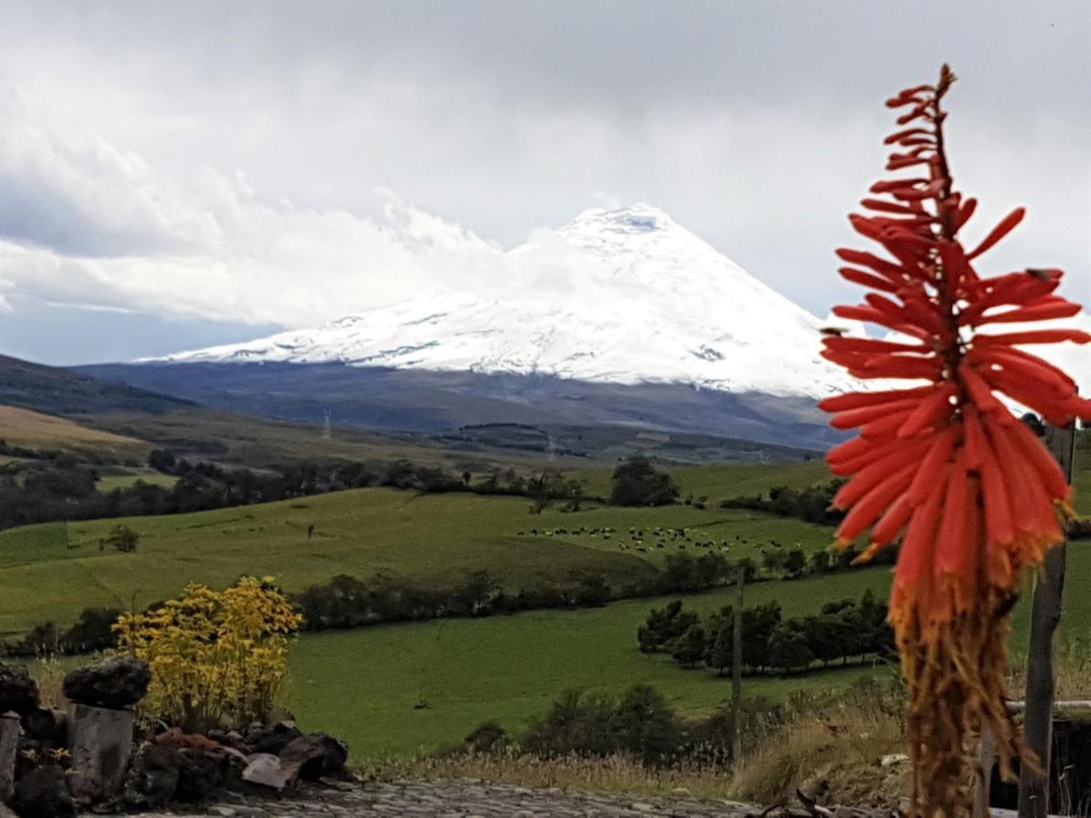 Balcon Al Cotopaxi Hosteria Sangolquí Dış mekan fotoğraf